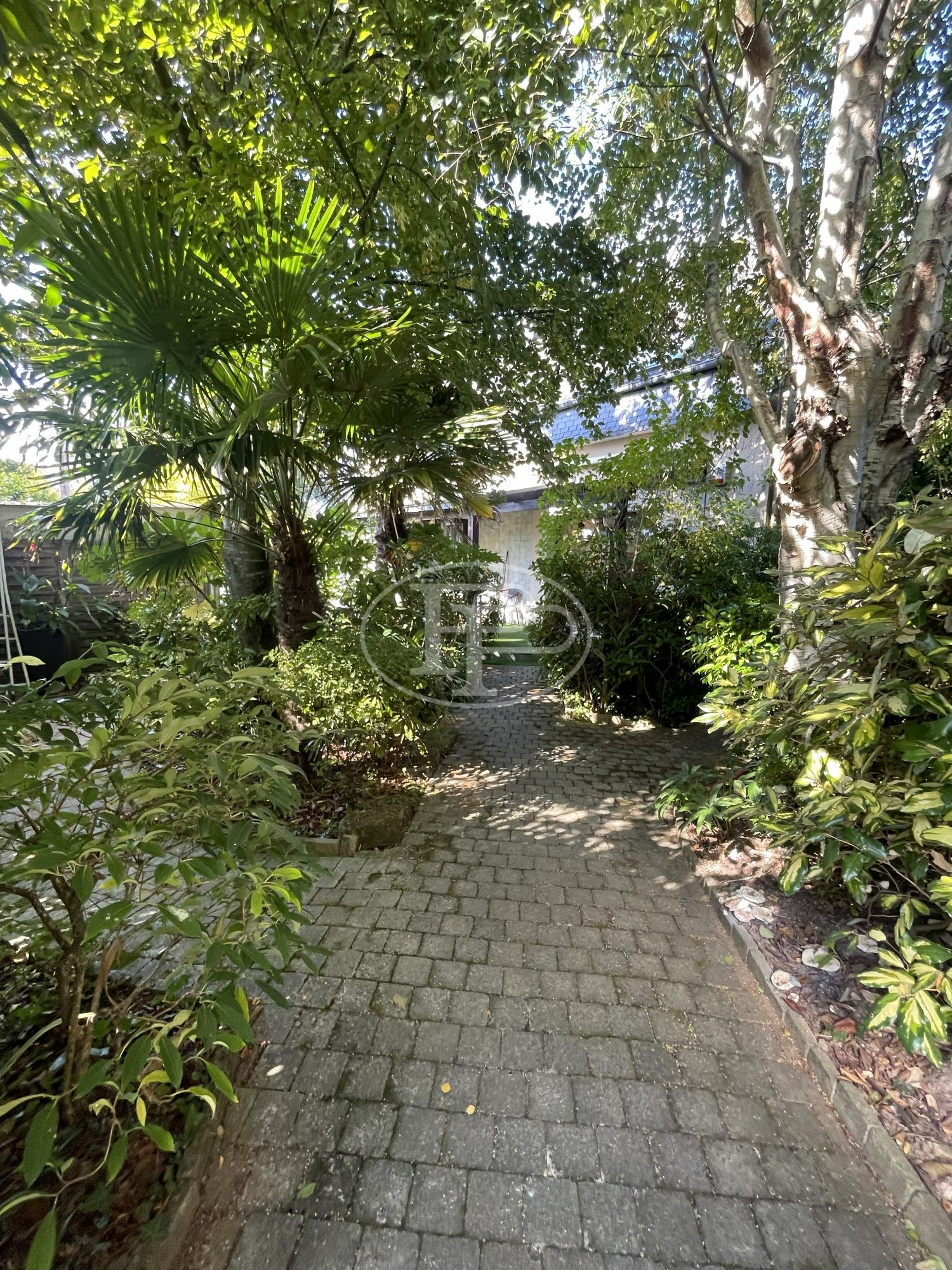 1762250423_VM341_14_original