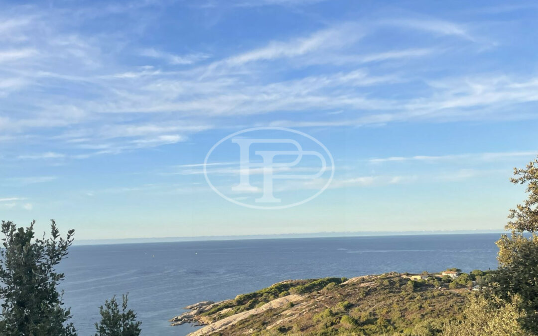 Vue imprenable sur la baie de Calvi et la citadelle