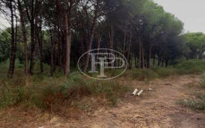 Frais de notaire offerts